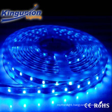 Kingunion SMD 3528 Low Power Consumption LED Landscape Lamps LED Flexible Strip Light Series RoHS ERP